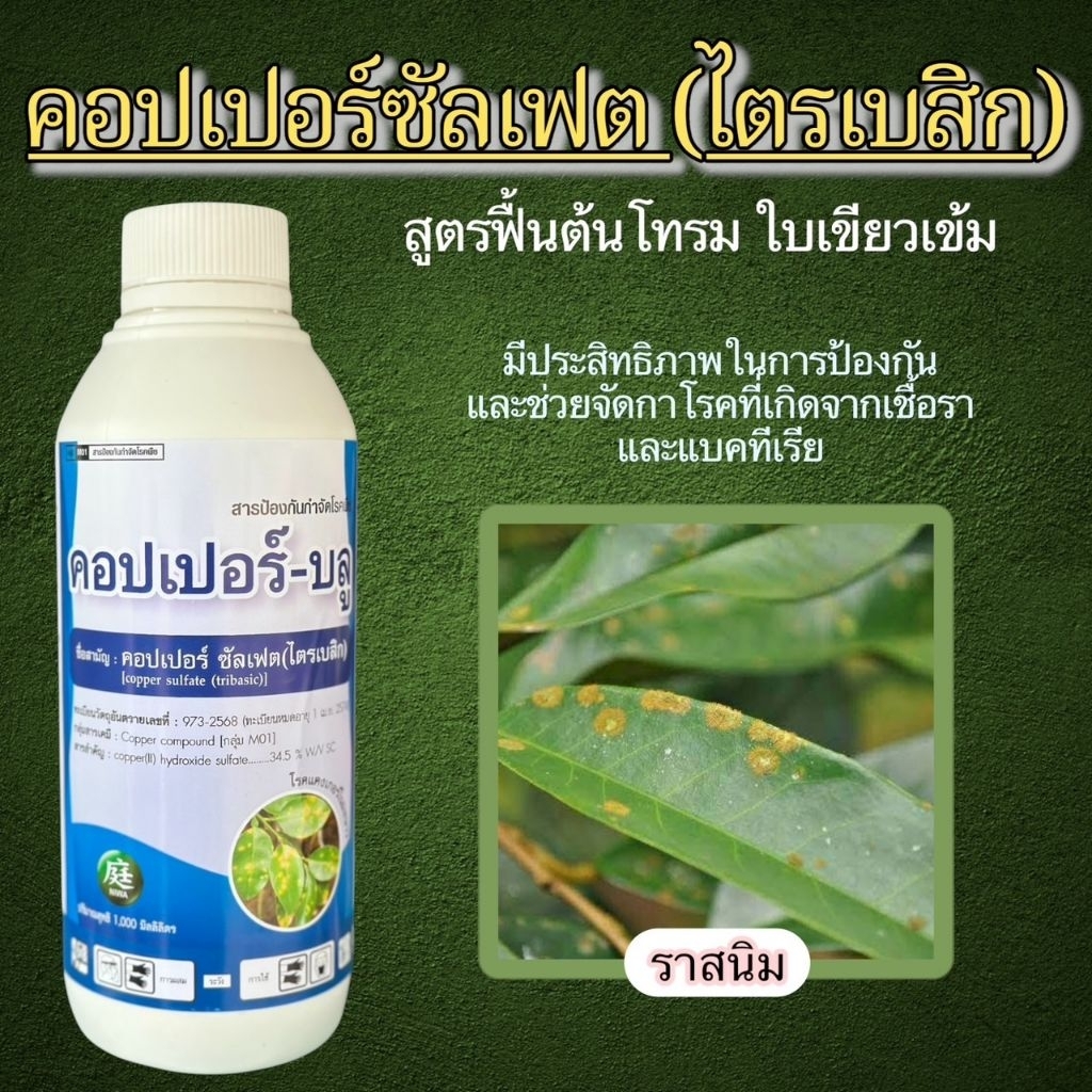 คอปเปอร์บลู-คอปเปอร์ ซัลเฟต ไตรเบสิค (Tribasic Copper Sulfate)ขนาด 1ลิตร ป้องกันกำจัดโรคพืช ราสนิม โรคขอบใบแห้งโรคใบไหม้