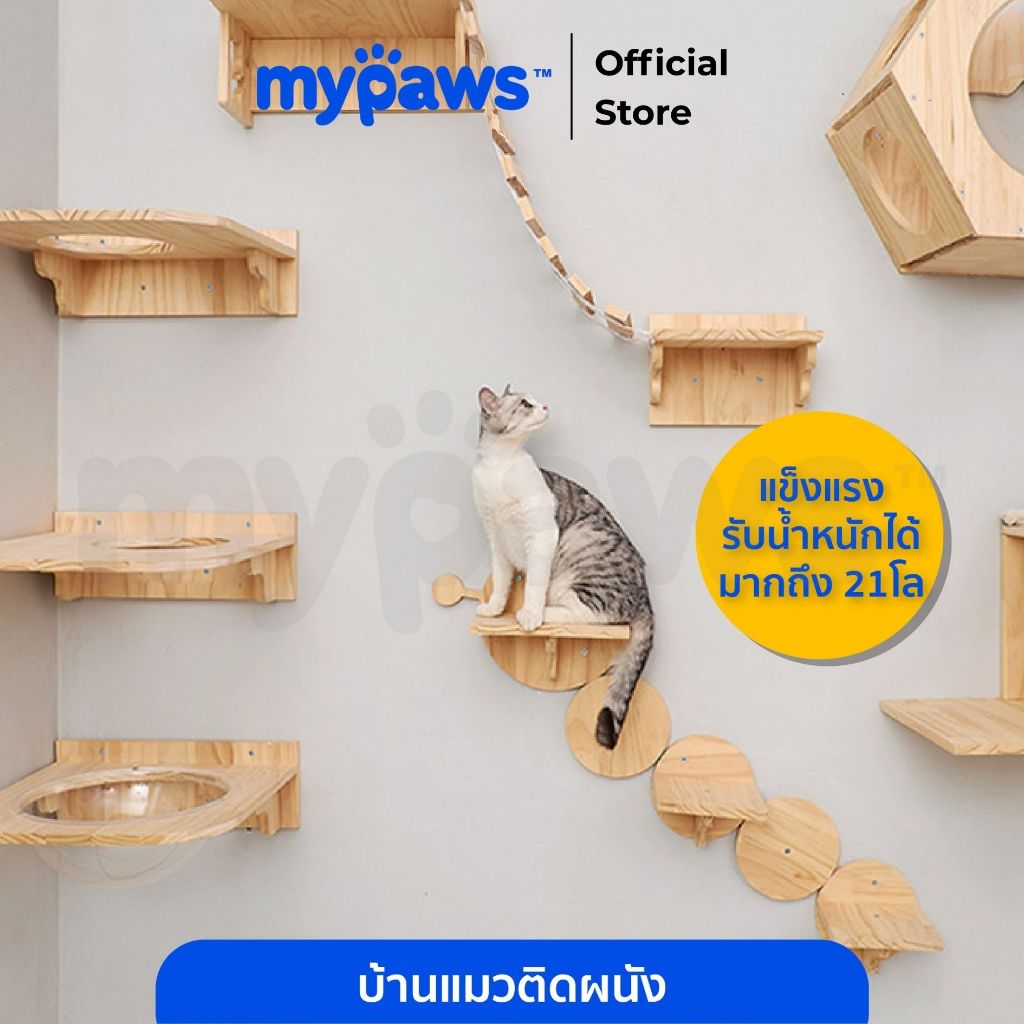 [🔥PAYDAYลดสูงสุด140]My Paws บ้านแมวติดผนัง กล่องแมวติดผนัง รังแมวติดผนัง คอนโดแมวติดผนัง แบบ DIY