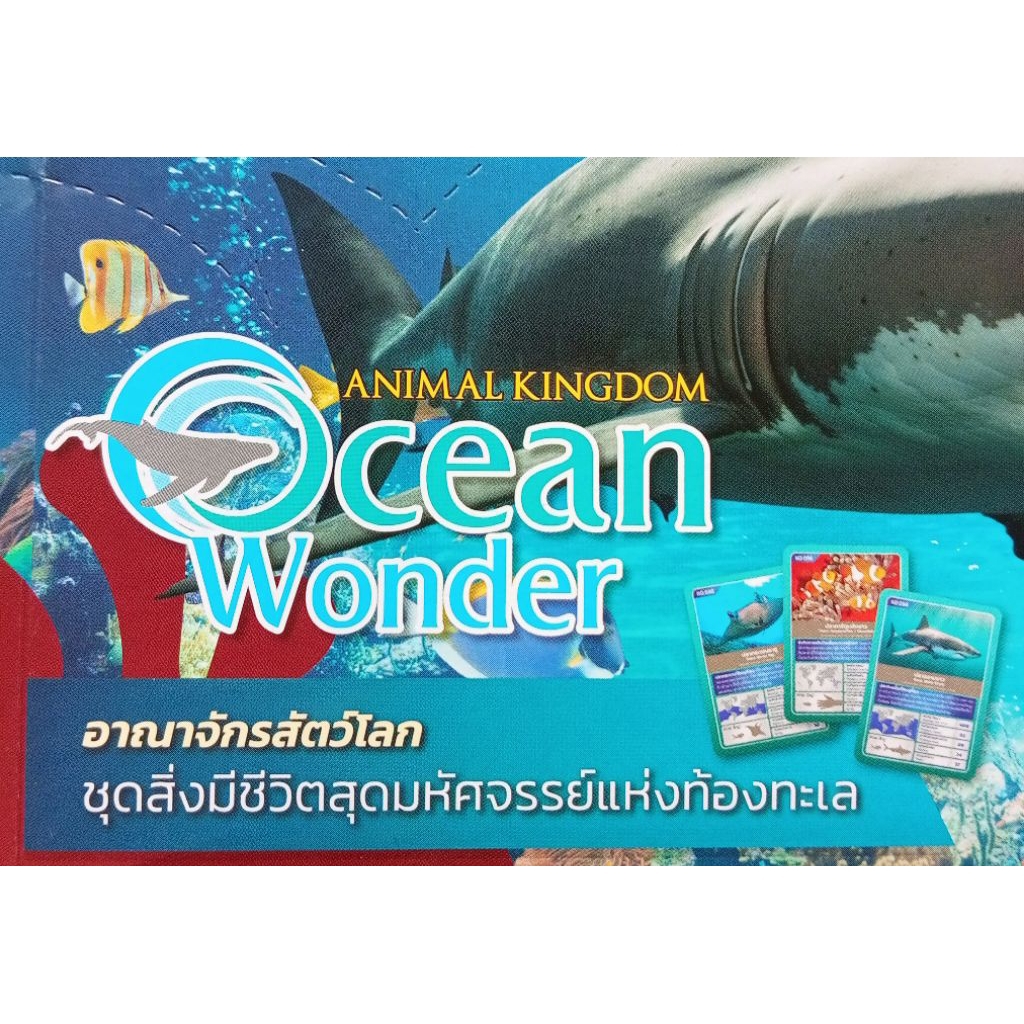 การ์ดความรู้อาณาจักรสัตว์โลก" (Animal Kingdom Ocean Wonder) No.61-120