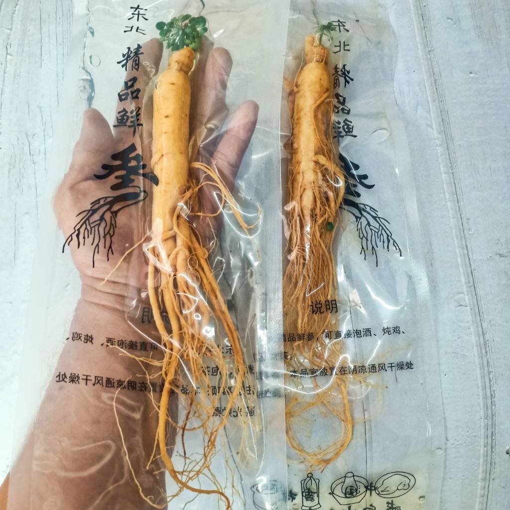 โสมจีน โสมขาวดอง เสือ 11 ตัว สำหรับดองน้ำผึ้ง ดองไวน์ ทำอาหาร บำรุงร่างกาย บำรุงสุขภาพ