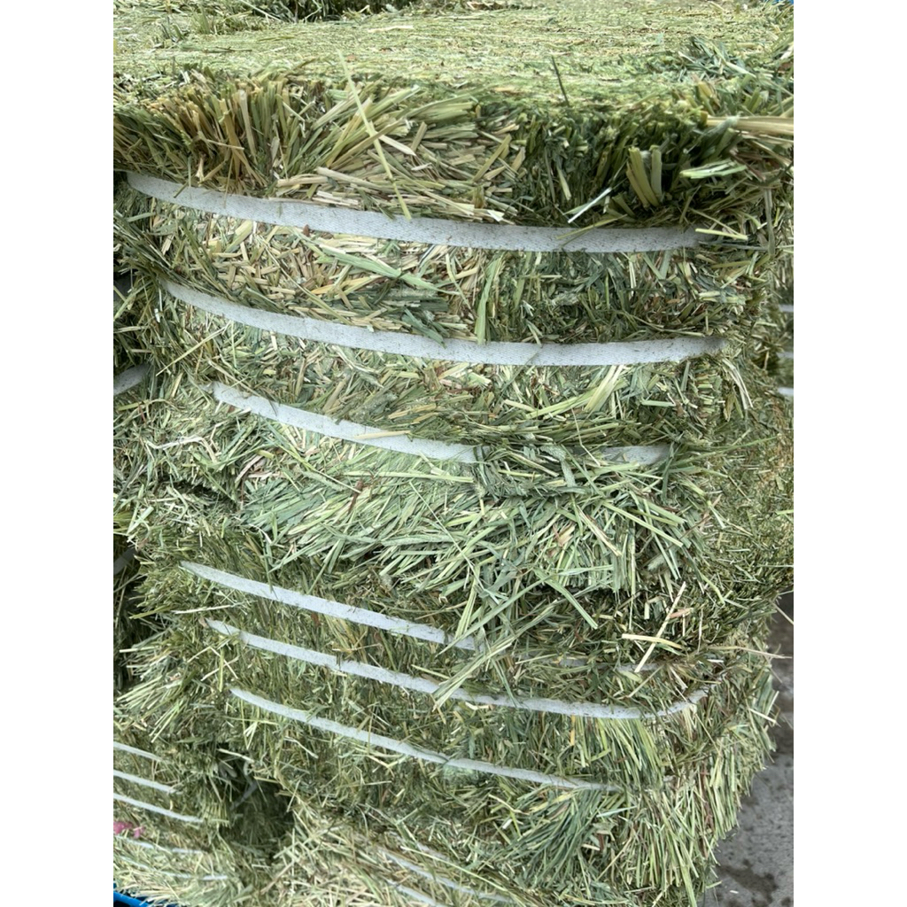 หญ้าทิมโมธีคัด1 ลอต27/12/2025 Timothy Hay