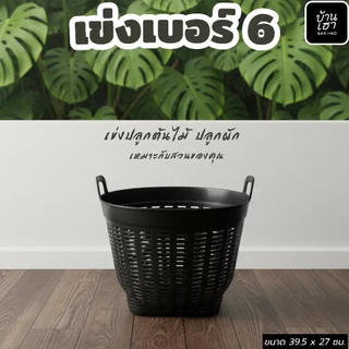 ยกโหล 12 ใบ เข่งพลาสติก เข่งเบอร์ 6 เข่งผลไม้ เข่งปลูกต้นไม้ #เบอร์6