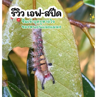 เอฟ-สปีด ซิลิโคน100% (แอดจูแวน โพลิเมอร์)เกาะติดใบ ซึมลงในเซลล์พืชได้รวดเร็ว จับแมลงได้ดียิ่งขึ้น ใช้สำหรับพืชเท่านั้น