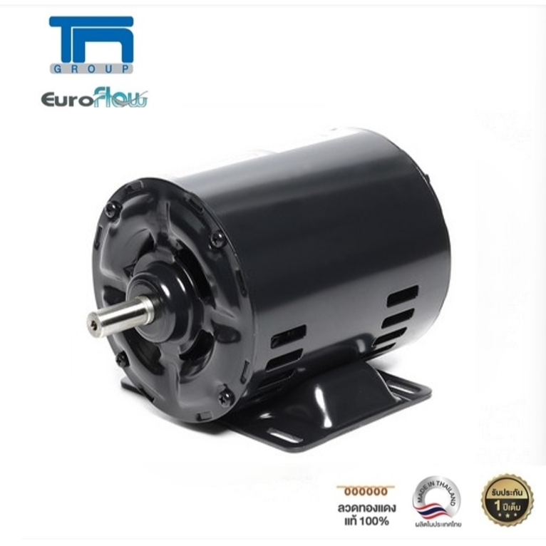 มอเตอร์ปั๊มลม Euroflow รุ่น  SPH 1/3HP 4P 220V (M) เพลา 14 มิล (เหมาะกับงานฉุดสายพาน)