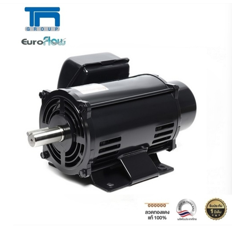 มอเตอร์ Euroflow รุ่น SC-RS 2 HP (4P 220v.) G2 เพลา 28 มิล (เหมาะกับงานฉุดสายพาน)