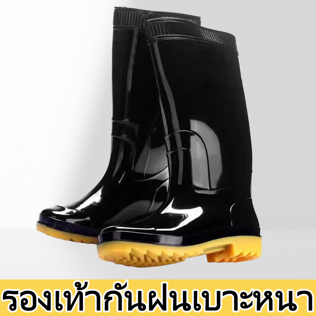 รูปภาพ 2