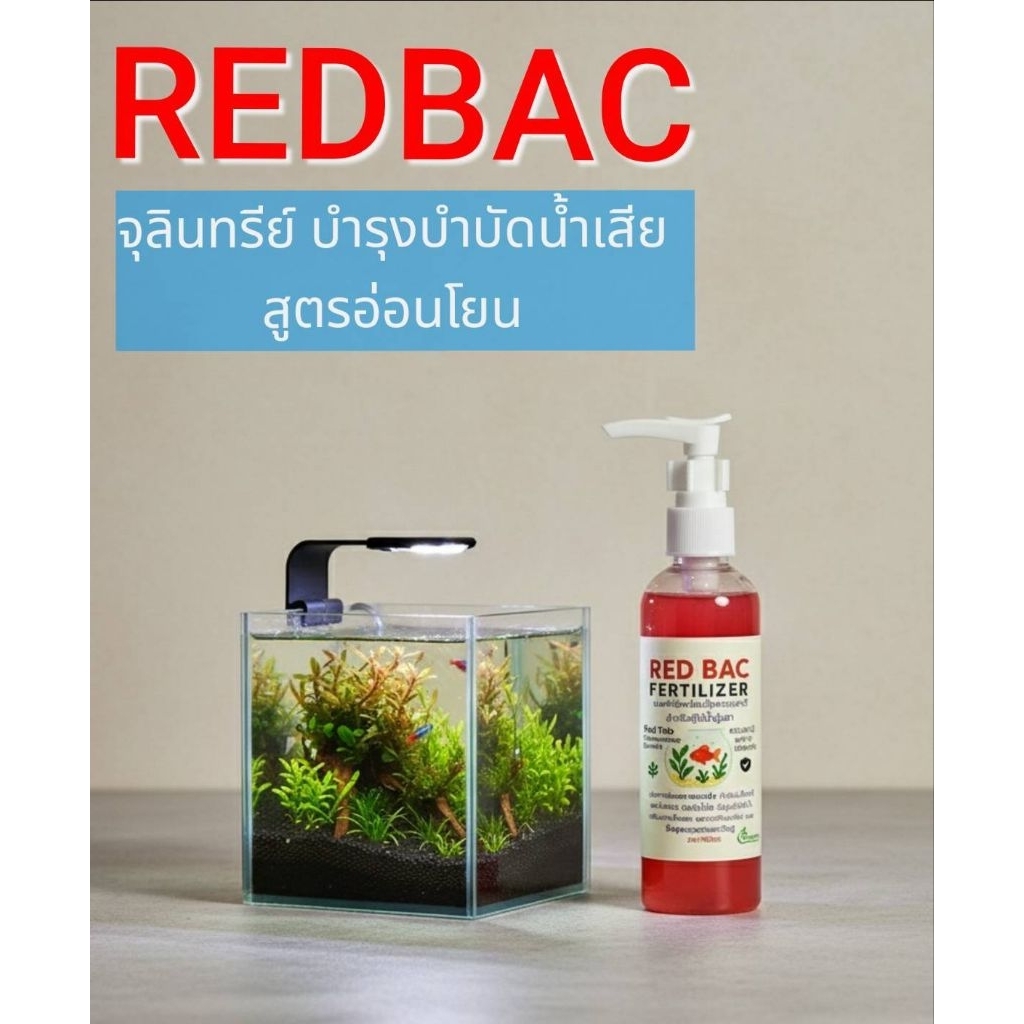 PSBแบคทีเรียชนิดเข้มข้นบำบัดน้ำพร้อมบำรุงต้นำไม้น้ำตัวเร่งน้ำใสพืชสีสันสดใสREDBAC