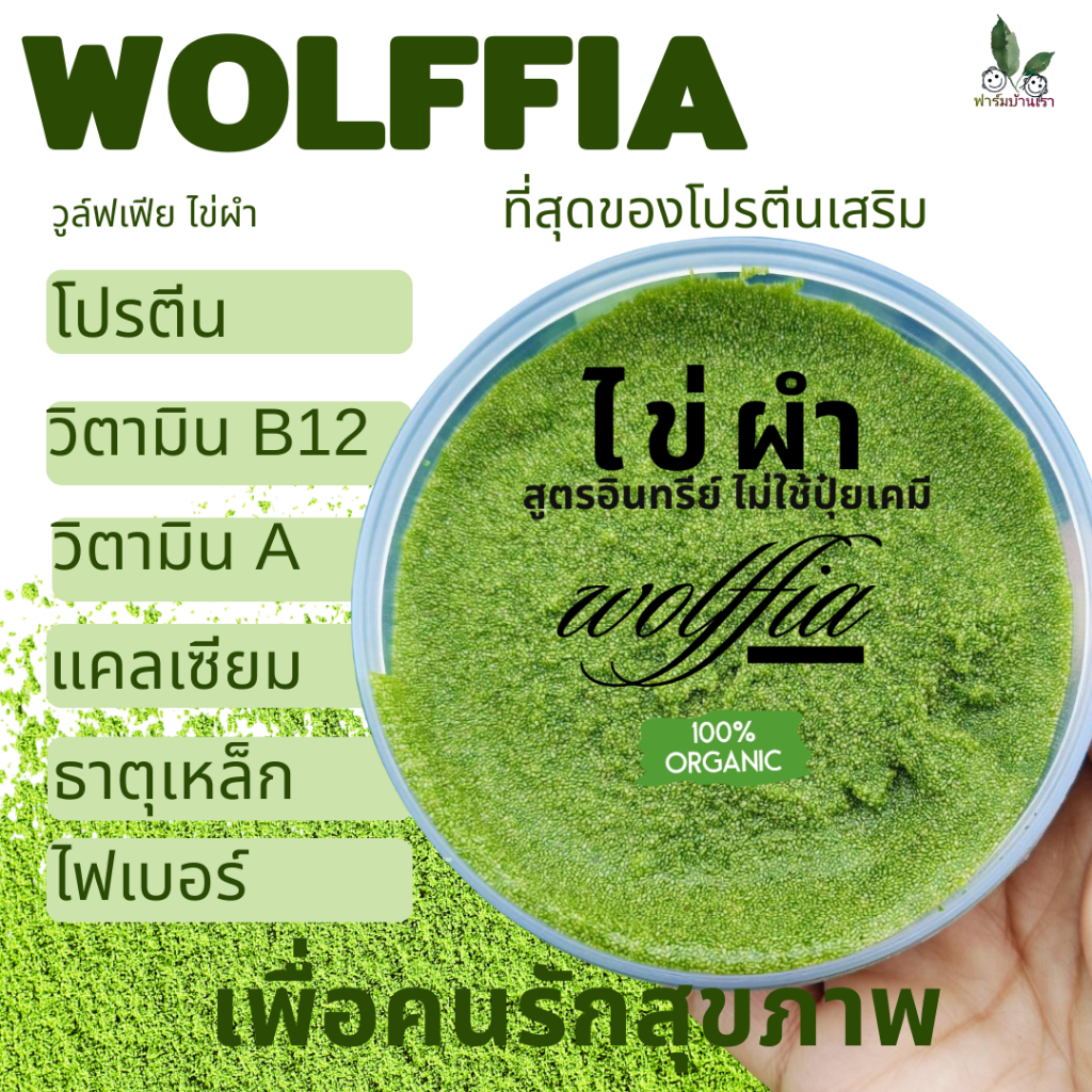 ฟาร์มบ้านเรา แม่พันธุ์ไข่ผำ Wolffia การันตีคุณภาพ ผ่านการรับรอง GAqP พืชอาหารปลอดภัย สำหรับรับประทาน หรือ หรือ นำไปเพาะ