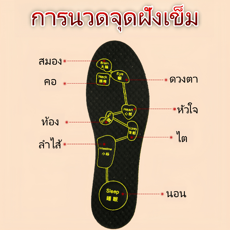 รูปภาพ 3