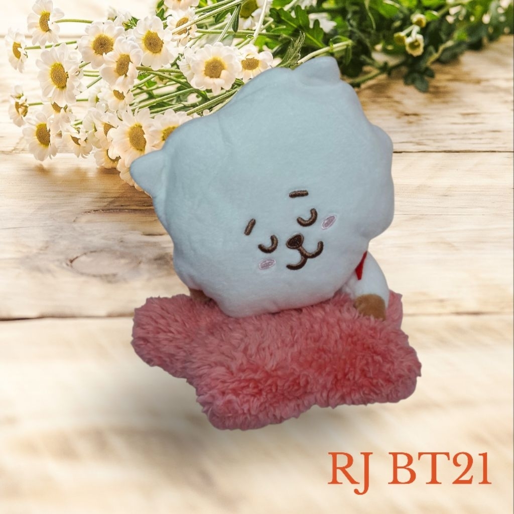🌜🌛ตุ๊กตา RJ BT21 ท่านอน🌜🌛