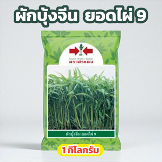 ผักบุ้งจีน ยอดไผ่9 ขนาด 1 กิโลกรัม ศรแดง