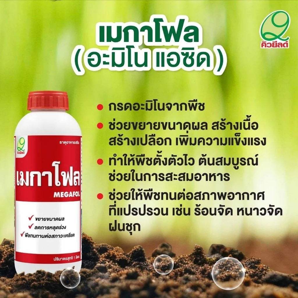เมกาโฟล (อะมิโน แอซิด) ขนาด 1 ลิตร ธาตุอาหารเสริมสำหรับพืช เพิ่มความแข็งแรง 1 ขวด ใช้ได้ 20 ไร่