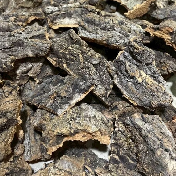 Cork bark 5ชิ้น เปลือกไม้ Corkbark 5ชิ้น นำเข้า เปลือกไม้ ขายเป็นชุด5ชิ้น isopod บ้านสัตว์เลื้อยคลาน