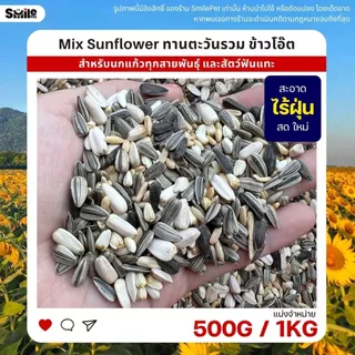 ทานตะวันรวม ข้าวโอ๊ต เมล็ดดอกคำฝอย อาหารนกแก้วทุกสายพันธุ์ และสัตว์ฟันแทะ (แบ่งขาย 500G / 1KG)