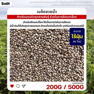 ฮวยมั้ว เกรดA เนื้อแน่น สำหรับฝึกนก อาหารนกแก้ว สะอาด ร่อนฝุ่นทุกถุง (แบ่งขาย 100G / 200G / 500G)