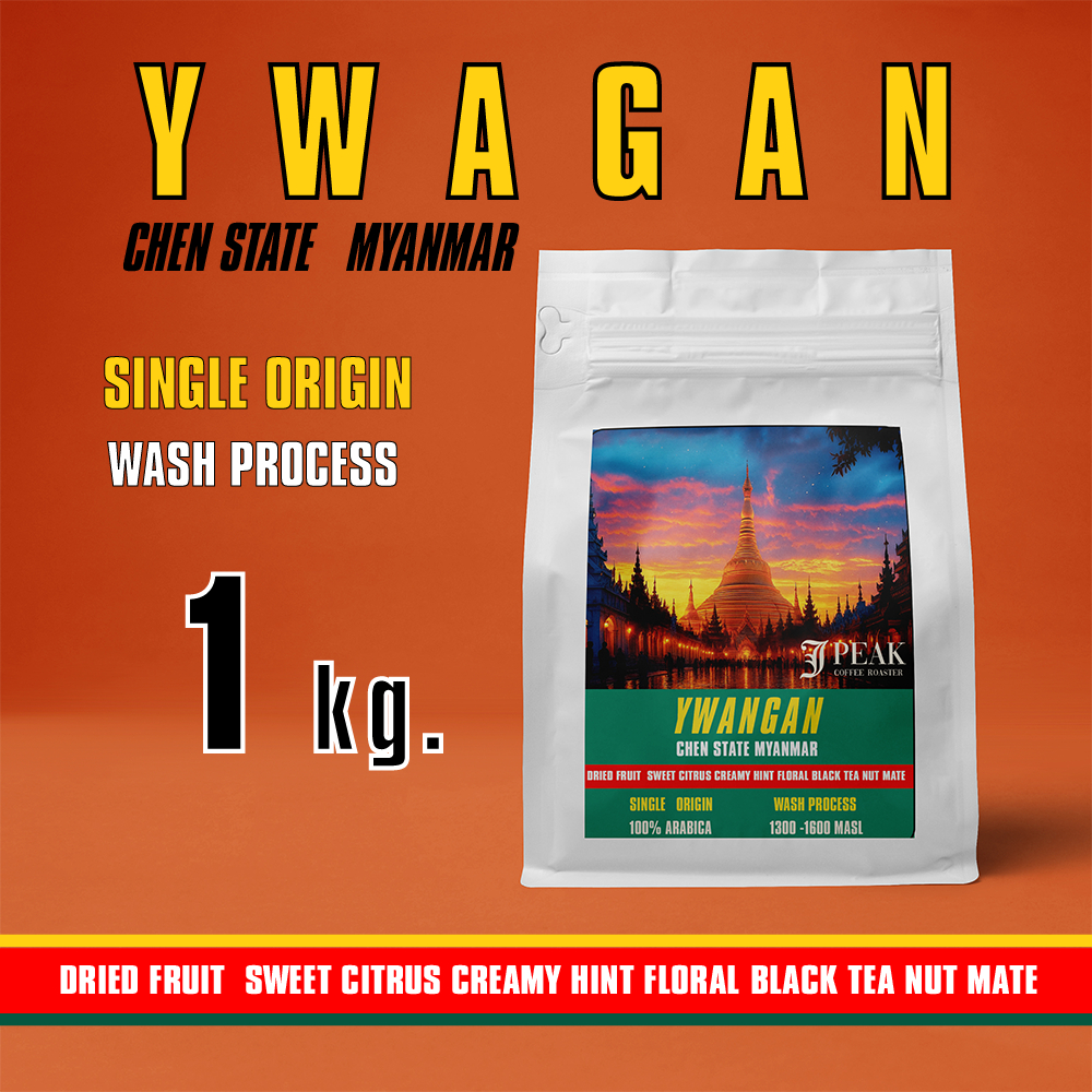 Myanmar Ywangan Shan State 1 Kg.Single Origin 100% ARABICA