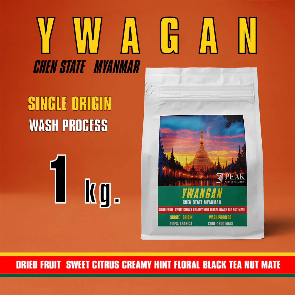 เมล็ดกาแฟคั่ว พม่า เมือง เยาวกัน รัฐฉาน 1 กิโลกรัม/ Myanmar Ywangan Shan State Single Origin 100% ARABICA 1kg.