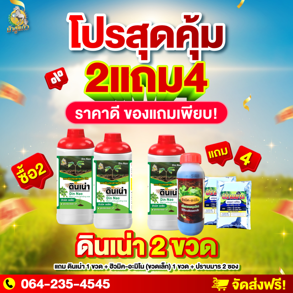 โปรพิเศษ 12.12 [ดินเน่า 3 ขวด แถมฮิวมิค1ขวด+ปราบมาร 2ซอง] บำรุงดินเติมสารอาหารให้ดิน ส่งฟรี