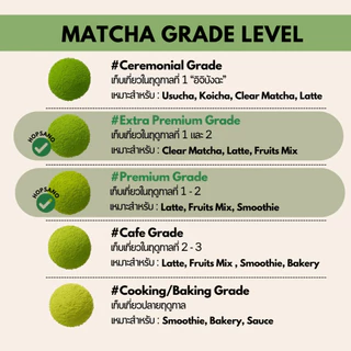 YAME MATCHA โทนถั่วละมุน | เกรด Extra Premium / Premium มัทฉะแท้ 100% จากเมืองยาเมะ ญี่ปุ่น Together Matcha