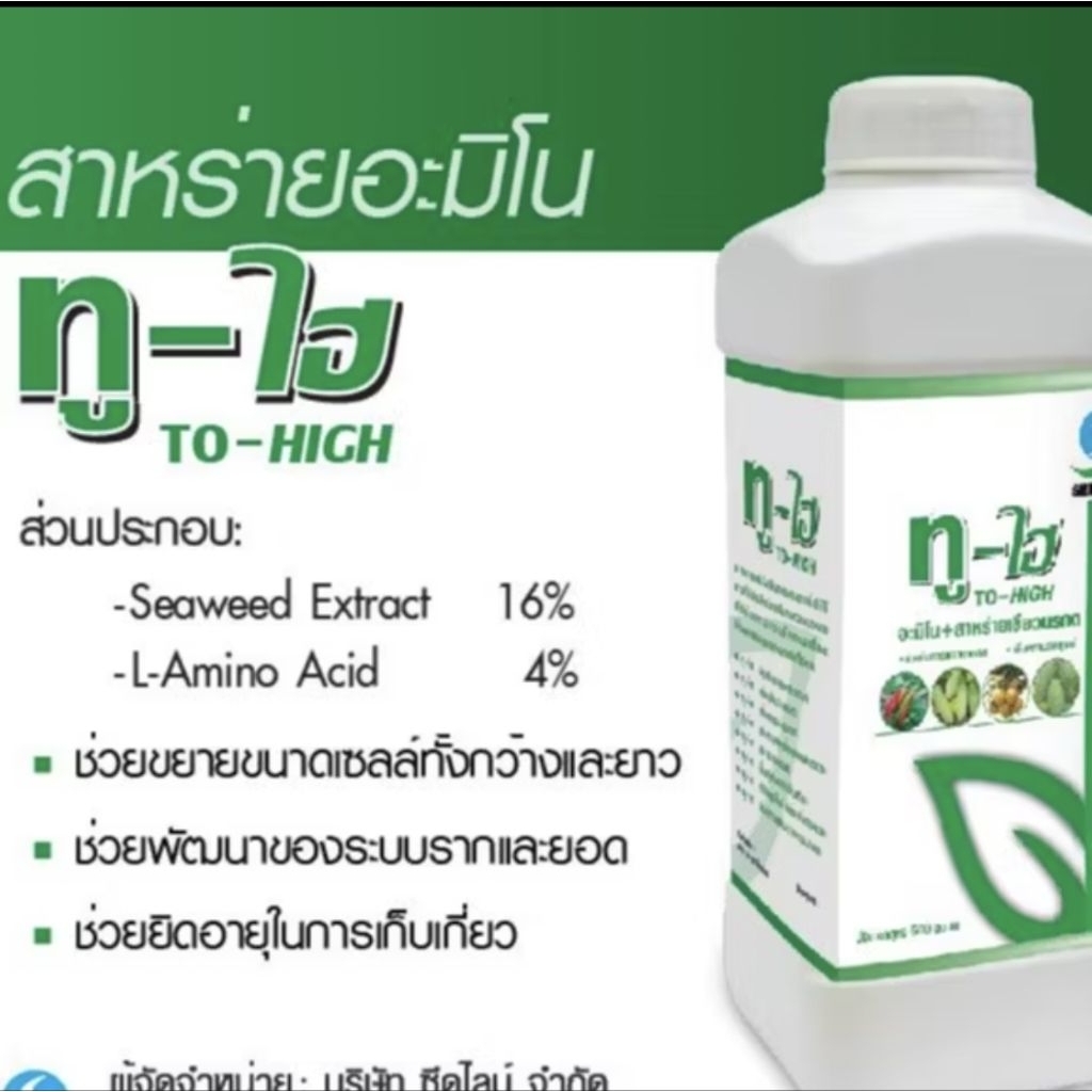 ทูไฮ 1 ลิตร สาหร่ายอะมิโน น้ำเขียว บำรุงพืช แตกตาใบ เพิ่มตาดอก สร้างความสมบูรณ์