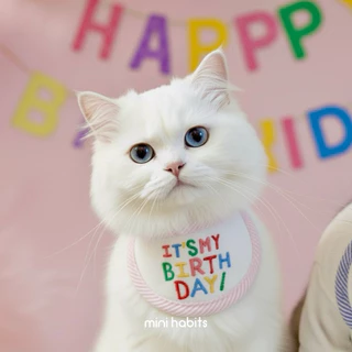 [🚚 พร้อมส่ง] ผ้ากันเปื้อนวันเกิดสัตว์เลี้ยง แมว สุนัข Birthday Bib Mouth Towel ผ้าพันคอแมว