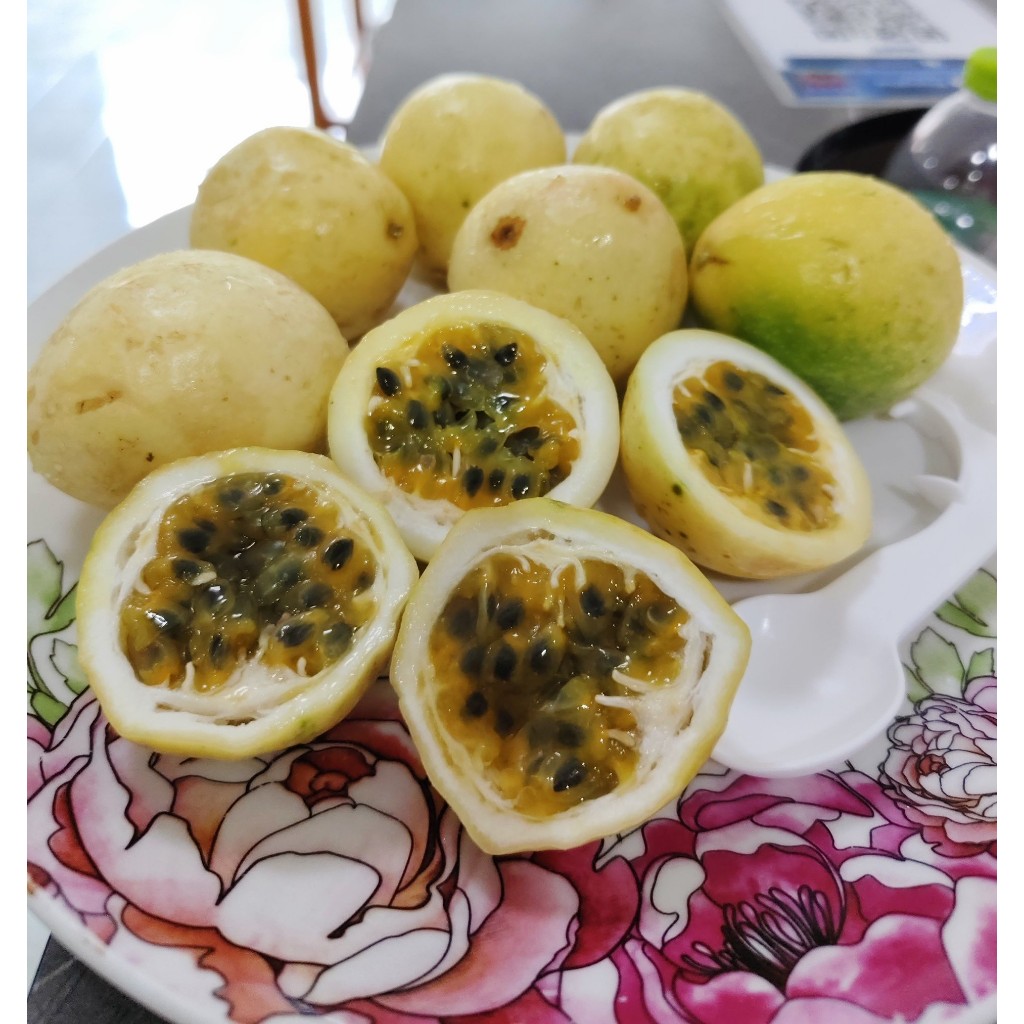 【 69฿/1กิโล!! 】เสาวรสเหลืองหวาน (เบอร์ C มีติดแผล ไม่กระทบต่อเนื้อใน) หอม อร่อย🍋ติดเปรี้ยวเล็กน้อย (ชั่งรวมกล่อง)