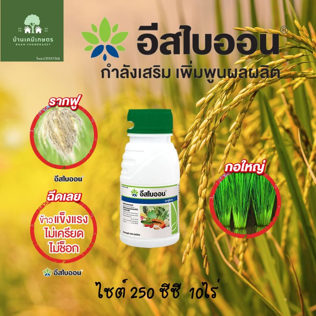 อีสไบออน กรดอะมิโนเปอร์เซนต์สูง 250 ซีซี เร่งราก แตกกอ ต้นเขียว