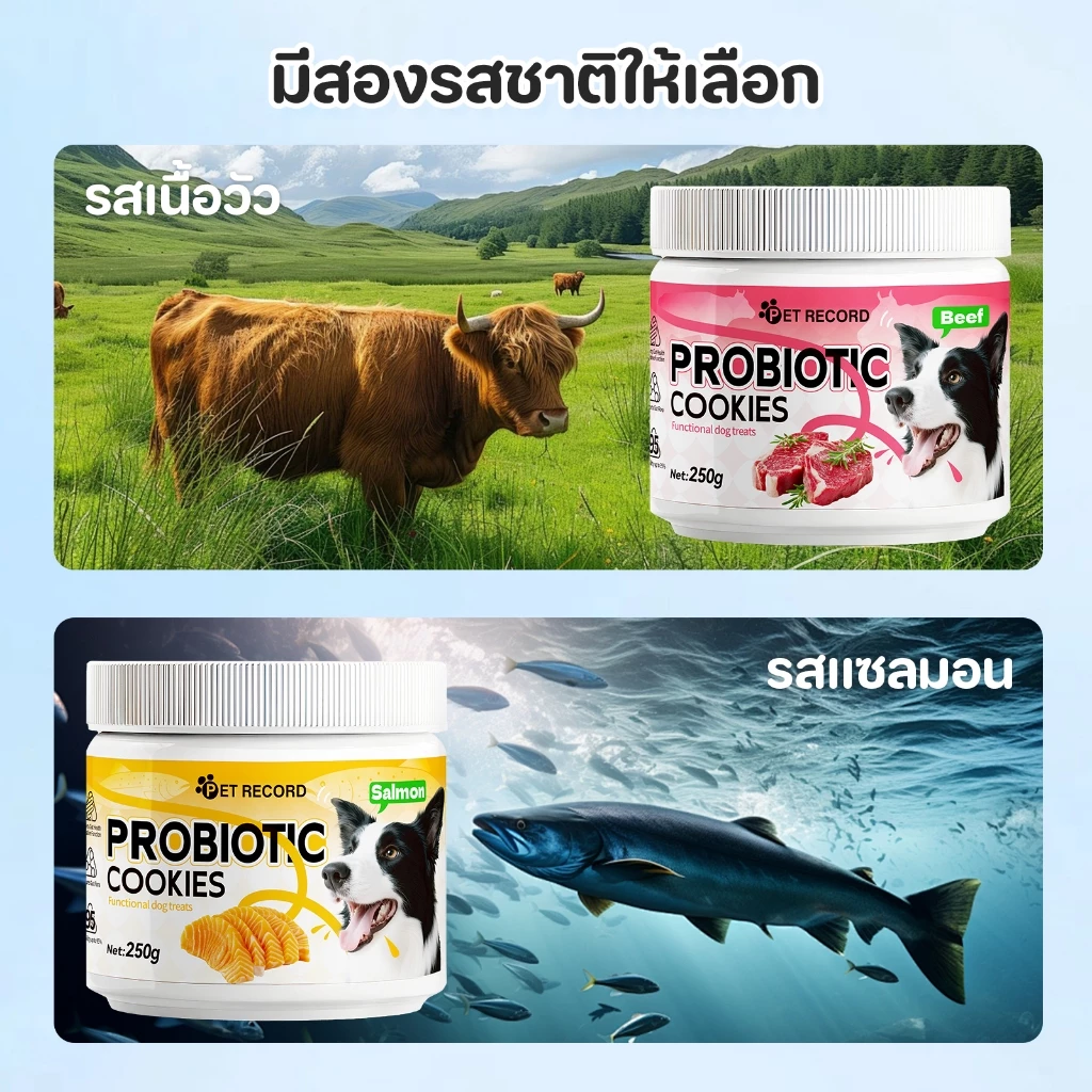 PET LIFE โพรไบโอติกส์สำหรับสุนัข ขนมสุนัข ขนมสุนัขช่วยระบบการย่อยอาหาร สุขภาพทางเดินอาหาร thumbnail 7