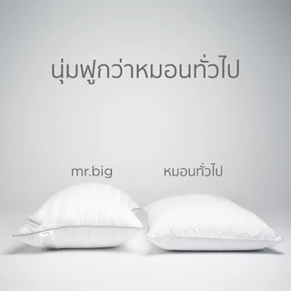 mr.big Hotel Series Tradition 19x29 in หมอนหนุน หลับสบาย ได้ระดับต่อเนื่องตลอดการนอน