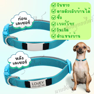 ปลอกคอสุนัข แบบแกะสลักชื่อ ด้วยเลเซอร์ พร้อมสายรัดไนลอนนุ่ม หลากสี พร้อมหัวเข็มขัดสีสะท้อนแสง