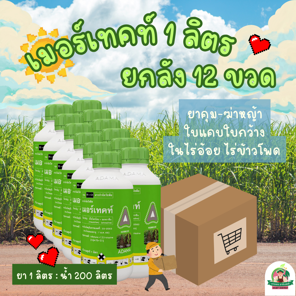 ยกลัง📦 เมอร์เทคท์ 1 ลิตรx 12 ขวด อดามา ยาฆ่าหญ้าใบแคบใบกว้าง ในไร่อ้อย ไร่ข้าวโพด