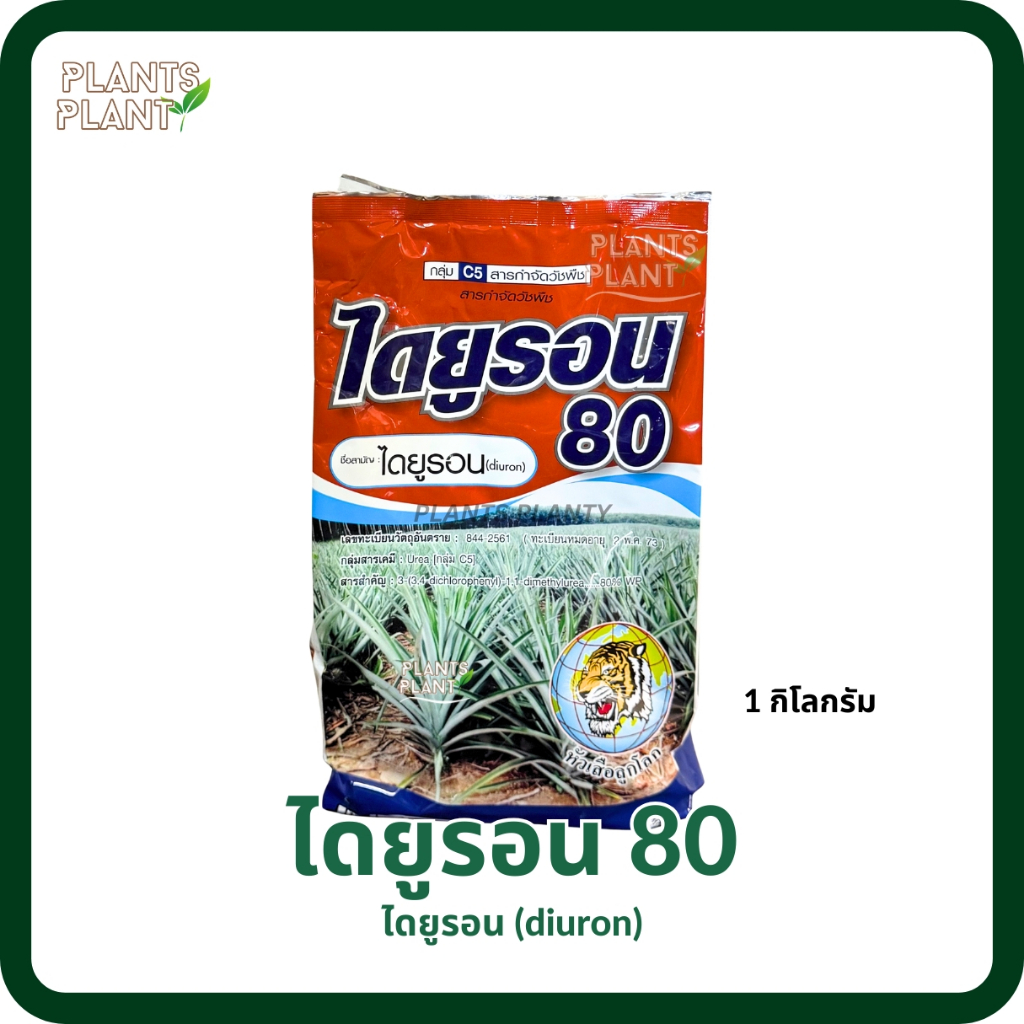 ไดยูรอน 1กก. สารป้องกันกำจัดวัชพืช ฆ่าหญ้า ใบแคบ ใบกว้าง กำจัดหญ้าปากควาย ผักเบี้ยหิน