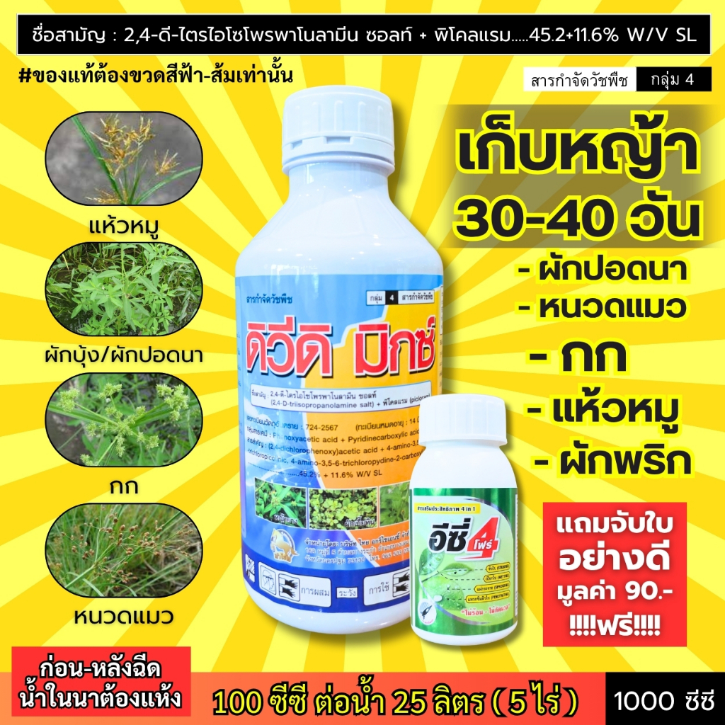 เก็บหญ้าในนาข้าว 30-40 วัน (ดิวีดิ มิกซ์) หญ้าหนวดแมว กก แห้วหมู ผักพริก ผักปอดนา (1 ลิตร)