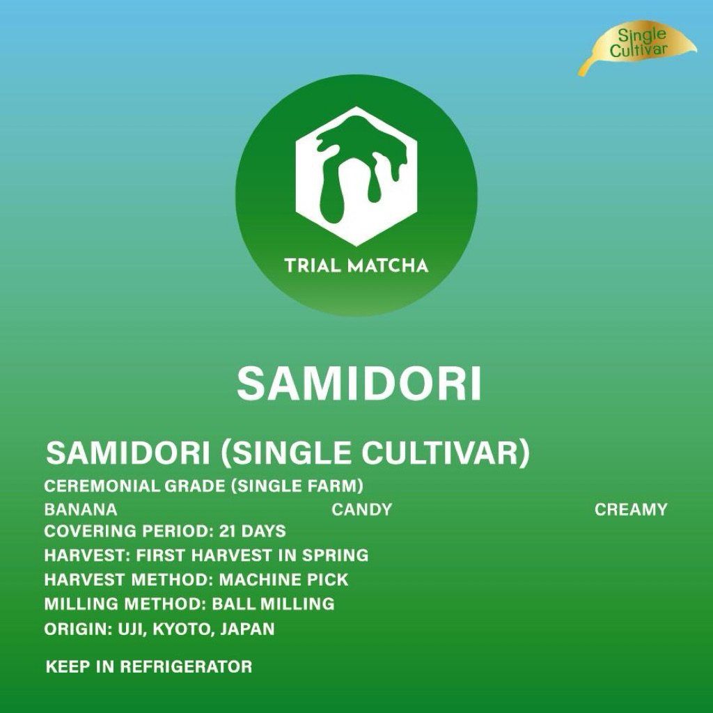 TRIAL MATCHA | ผงมัทฉะอุจิสายพันธุ์เดี่ยว Samidori Single cultivar