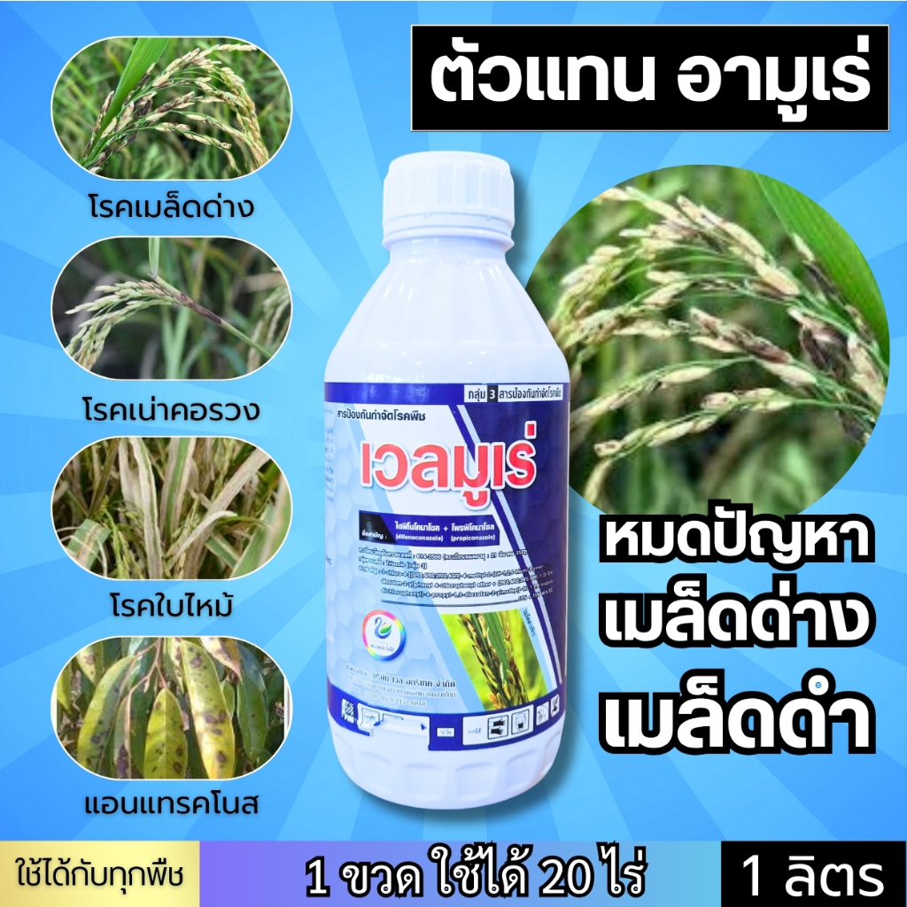 เวลมูเร่ (ตัวเดียวกับอามูเร่) เมล็ดด่าง เมล็ดดำ "ดูดซึม" โรคแอนแทรคโนส กาบใบแห้ง ใบจุดตากบ ราสนิม ใบไหม้ โรคสแคป 1 ลิตร