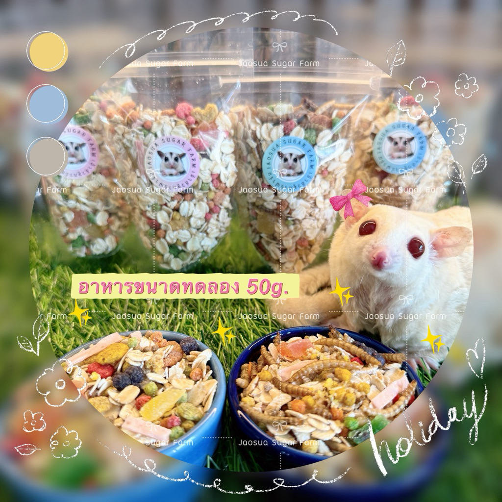 🌾🥝ชุดหัดเลี้ยง อาหารชูการ์ แฮมเตอร์ กระรอก ดอเมาท์ ขนาดทดลอง