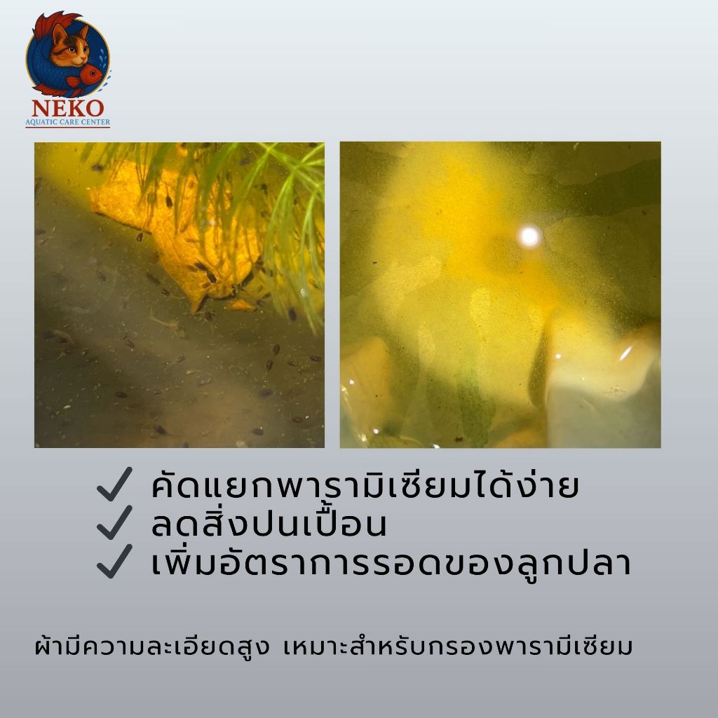 NAC.Shop กระชอนกรองพารามีเซียม ผ้าไนล่อนความละเอียดสูง แยกพารามีเซียมอนุบาลลูกปลาแรกเกิด ราคา ถูกที่สุด ดีลบีเคเค แกลเลอรีภาพที่ 5