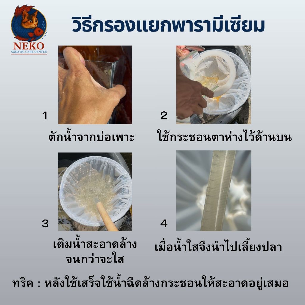 NAC.Shop กระชอนกรองพารามีเซียม ผ้าไนล่อนความละเอียดสูง แยกพารามีเซียมอนุบาลลูกปลาแรกเกิด ราคา ถูกที่สุด ดีลบีเคเค แกลเลอรีภาพที่ 3