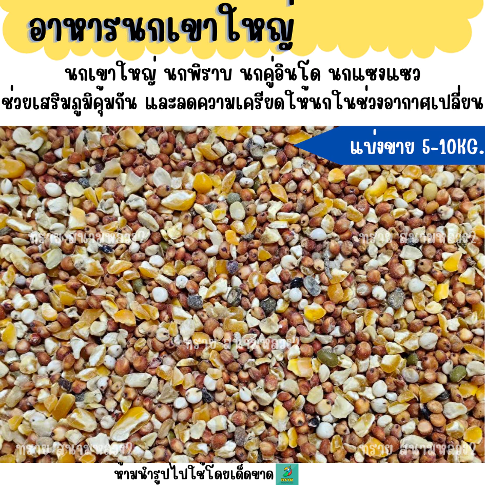 (5 KG./10 KG.) อาหารนกเขาใหญ่ เขาชวา เขาแขก นกพิราบ