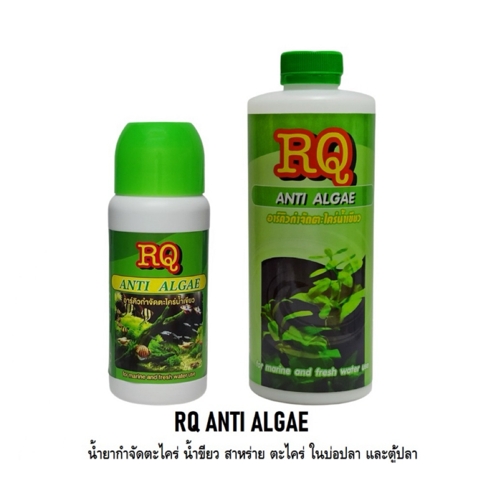 RQ Anti Algae (น้ำยากำจัดตะไคร่ น้ำขียว สาหร่าย ตะไคร่ ในบ่อปลา และตู้ปลา)