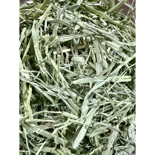 หญ้าทิมโมธีพรีเมียม 1 กิโลกรัม หญ้าพรีเมียม คุณภาพสูง