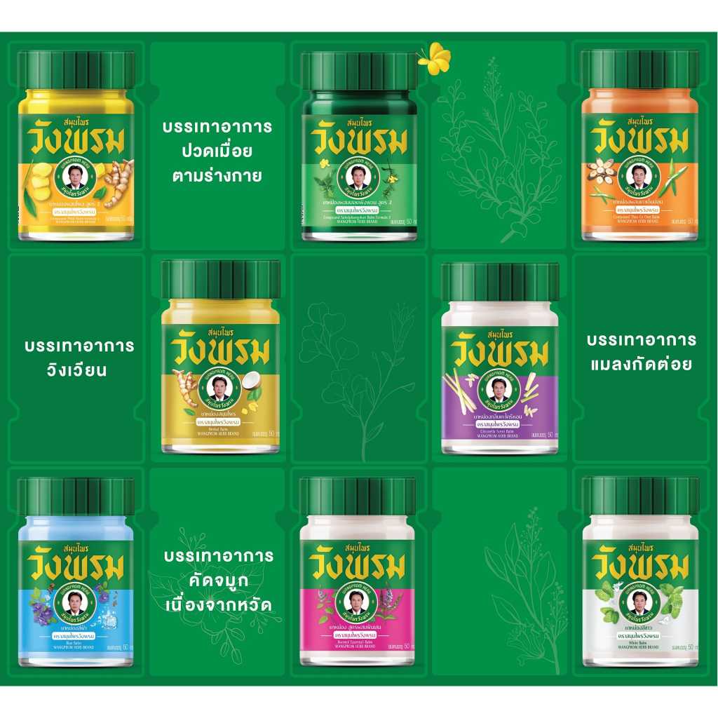 Wangpromherb (สมุนไพรวังพรม) ยาหม่องกลิ่นตะไคร้หอม ขนาด 50 กรัม ( 6 ขวด) - รูปที่ 5