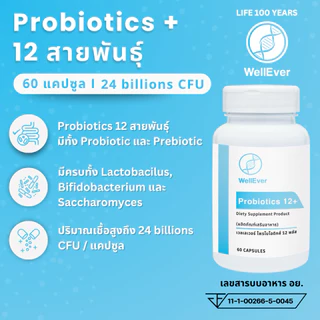 Probiotics 12+ (60 แคปซูล) WellEver โพรไบโอติก 12 สายพันธุ์ 24 พันล้าน CFU เสริมภูมิคุ้มกัน ดูแลสุขภาพลำไส้