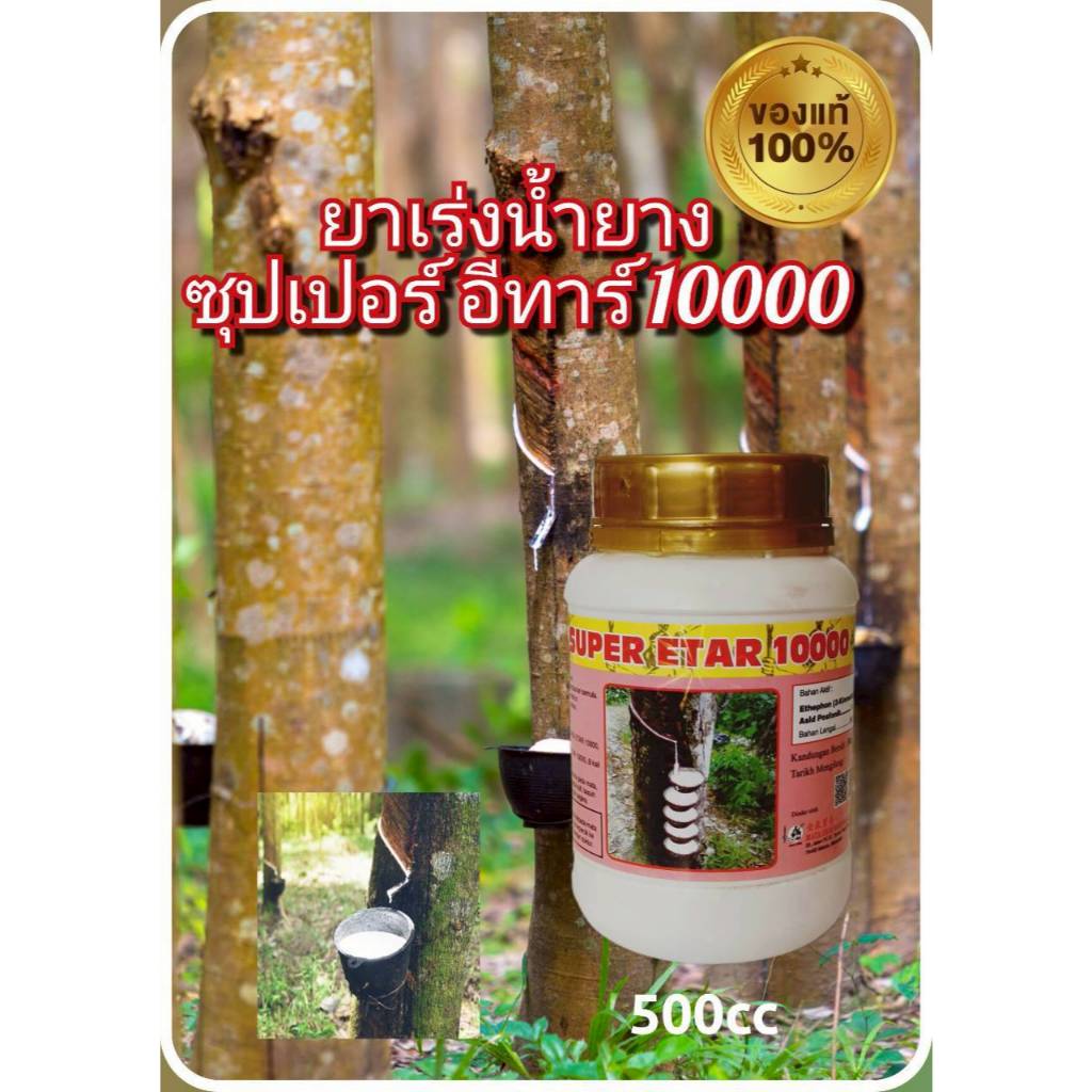ยาเร่งน้ำยาง ยาทาหน้ายางเพิ่มปริมาณน้ำยางซุปเปอร์อีทาร์ 10000 Super etar ของมาเลย์แท้ 100%