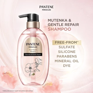 แพนทีน แชมพู มิราเคิล บอนด์ รีแพร์ 440 กรัม PANTENE SHAMPOO MIRACLES BOND REPAIR 440 G