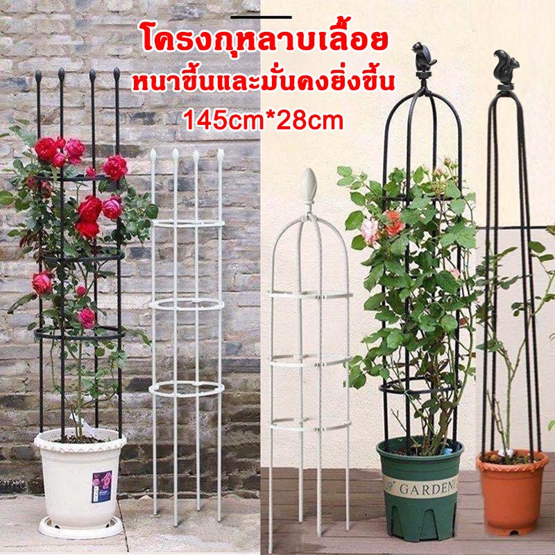 【จัดส่งฟรี】โครงกุหลาบเลื้อย 145*28cm เหล็กแข็งแรง ท่อเหล็กเคลือบ PE กันสนิม ซุ้มกุหลาบ ซุ้มกุหลาบเลื้อย ซุ้มไม้เลื้อย