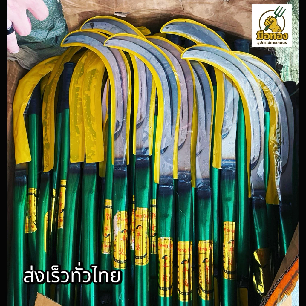 เคียวเหล็กแมงกานีสแท้ คมจริง ตัดง่ายไม่ลื่น มือทองอุปกรณ์การเกษตร thumbnail 8