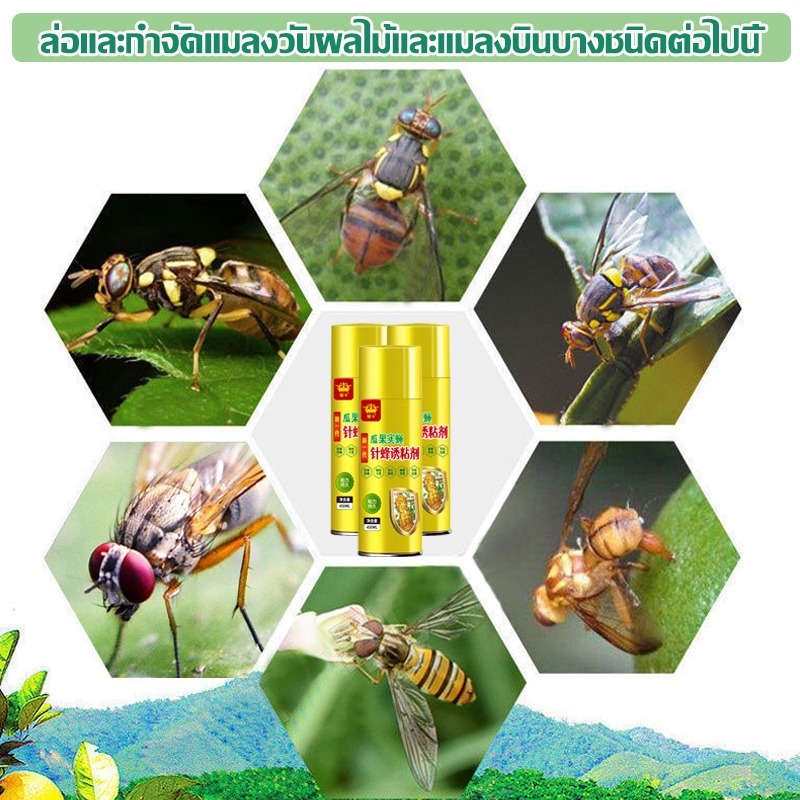 🔥QA🔥สเปรย์กาว 450ml เข้มข้นสุด เมทิลยูจินอล กาวดักแมลง ดึงดูดแมลงวัน100% ติดแน่น หนีไม่พ้น สารล่อแมลงทอง 1 ขวดใช้พื้นที่ - รูปที่ 5