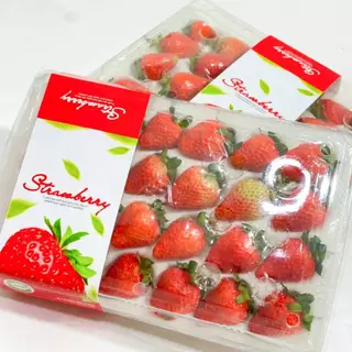 สตอเบอรี่สด 🍓🍓 โปรดอ่านรายละเอียดก่อนสั่งซื้อ แพ็ค 20-24 ลูก