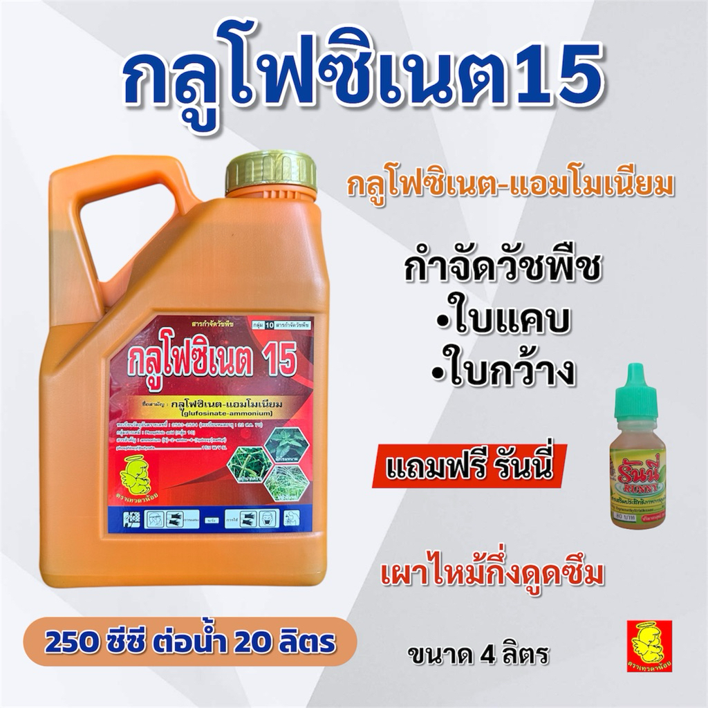 กลูโฟซิเนต-แอมโมเนียม15% ขนาด 4 ลิตร แถมฟรีสารเสริมประสิทธิภาพ หญ้าใบแคบ หญ้าใบกว้าง เผาไหม้กึ่งดูดซึม เทวดาน้อย